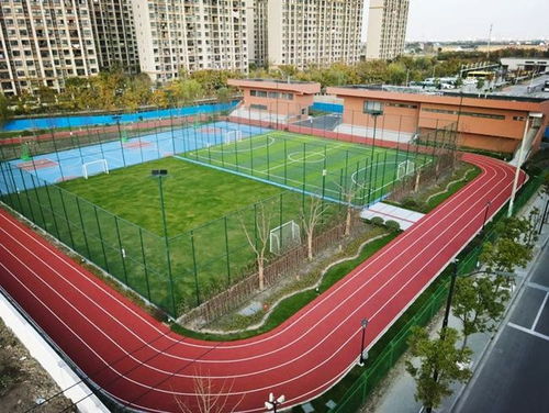 匯聚體育力量，共筑健康青浦——青浦區(qū)全民健身體育組織年度工作盤點(diǎn)